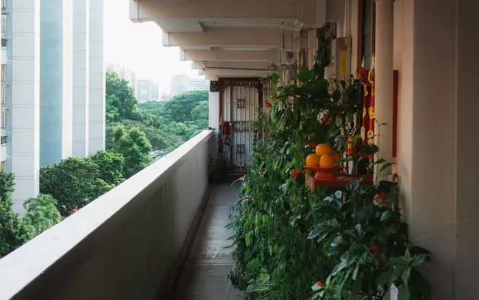 Reducing Waste While Practicing Balcony Vegetable Gardening